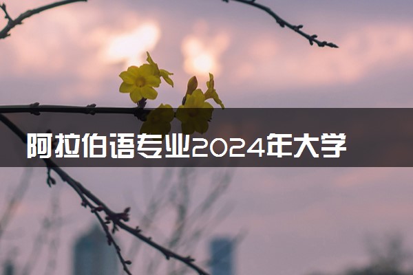 阿拉伯语专业2024年大学排名 最好的大学排行榜
