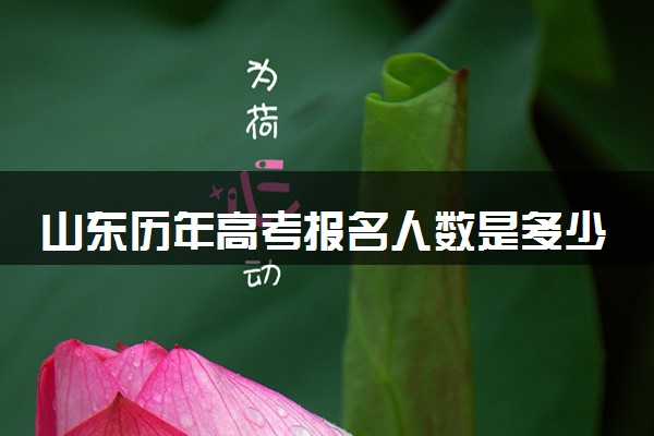 山东历年高考报名人数是多少 2025报考人数预计