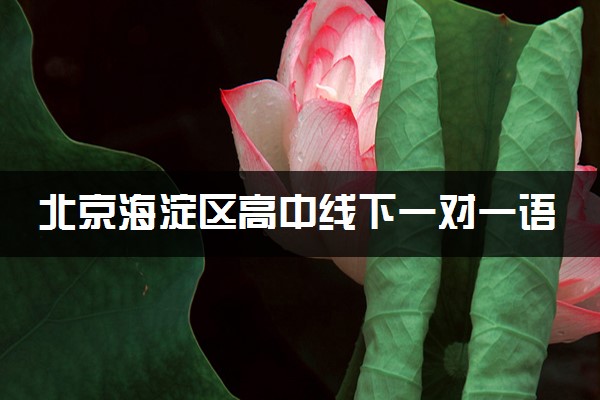 北京海淀区高中线下一对一语文老师推荐