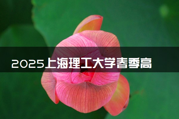 2025上海理工大学春季高考招生简章 招生专业及计划