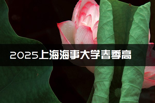2025上海海事大学春季高考招生简章 招生专业及计划