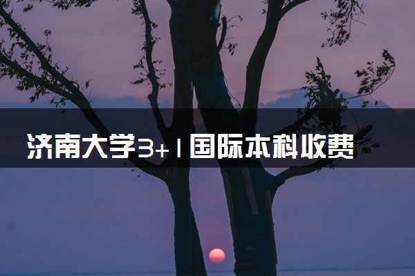 济南大学3+1国际本科收费标准 学费多少钱