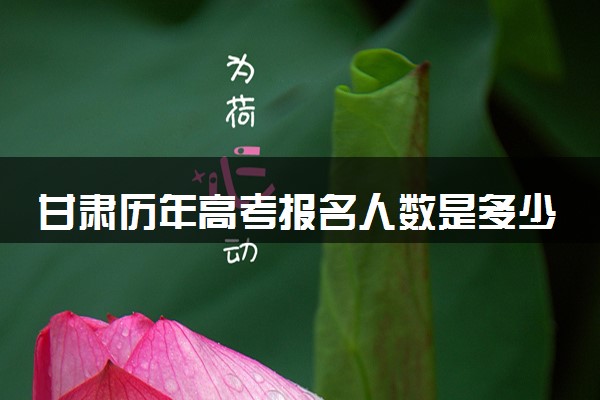甘肃历年高考报名人数是多少 2025报考人数预计