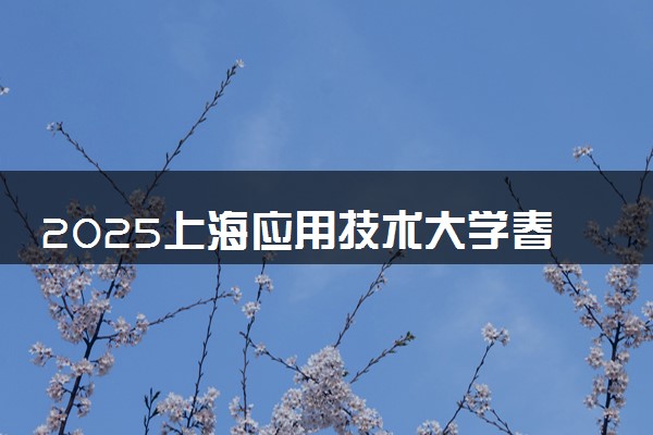 2025上海应用技术大学春季高考招生简章 招生专业及计划