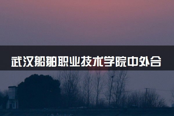 武汉船舶职业技术学院中外合办分数线（2025参考）