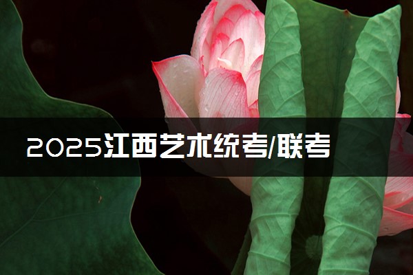2025江西艺术统考/联考成绩公布时间 什么时候查分