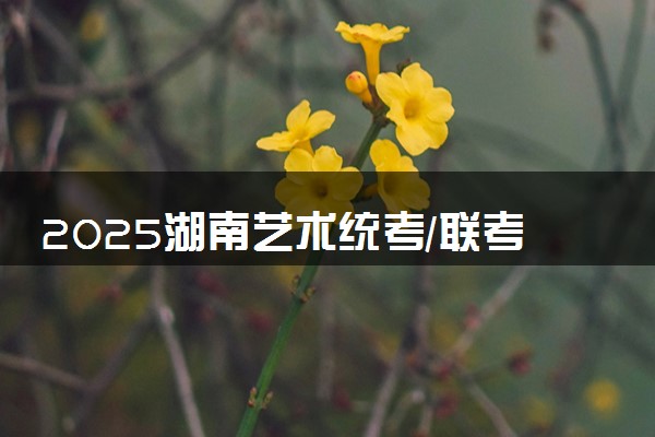 2025湖南艺术统考/联考成绩公布时间 什么时候查分