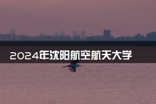 2024年沈阳航空航天大学热门专业全国排名 有哪些专业比较好
