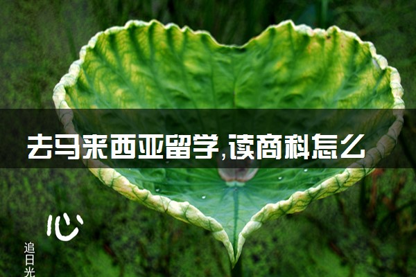 去马来西亚留学，读商科怎么选院校，有前途吗？