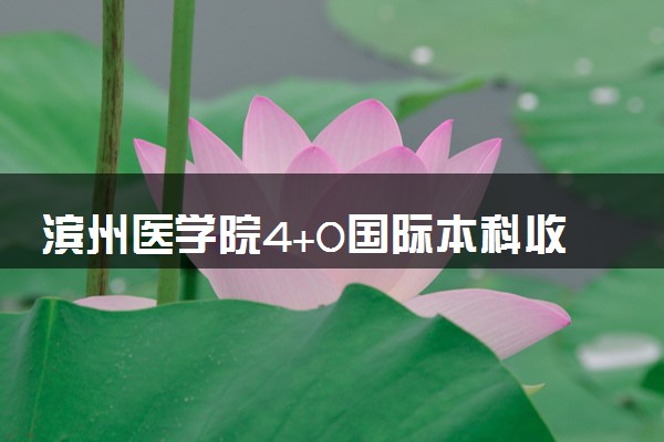 滨州医学院4+0国际本科收费标准 学费多少钱