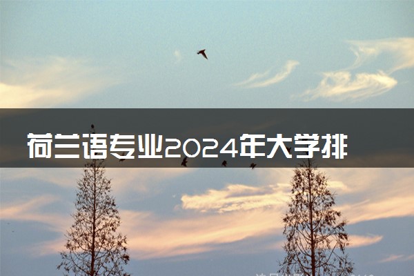 荷兰语专业2024年大学排名 最好的大学排行榜