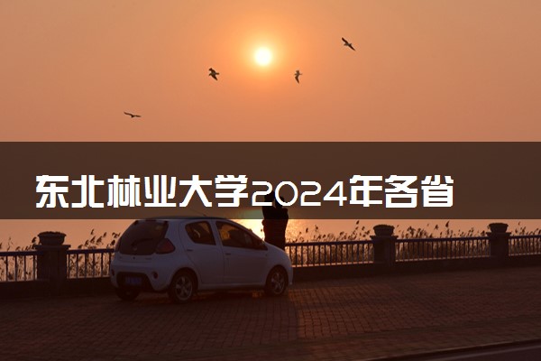 东北林业大学2024年各省录取分数线 多少分能考上