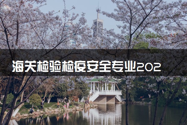 海关检验检疫安全专业2024年大学排名 最好的大学排行榜