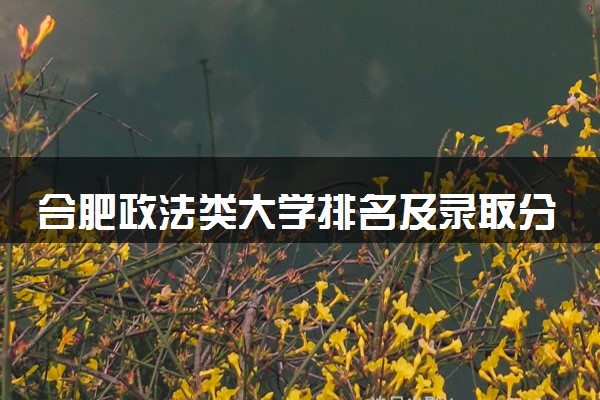 合肥政法类大学排名及录取分数线（2025年参考）