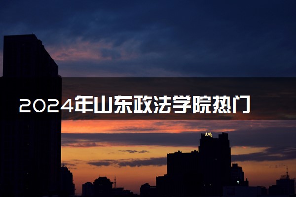 2024年山东政法学院热门专业全国排名 有哪些专业比较好