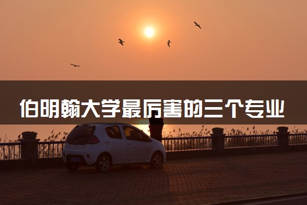 伯明翰大学最厉害的三个专业 哪些比较强势