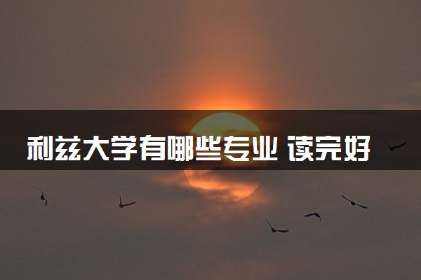 利兹大学有哪些专业 读完好就业吗