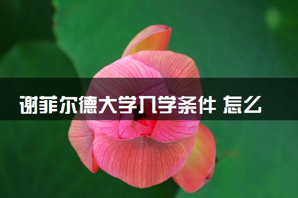 谢菲尔德大学入学条件 怎么考进去