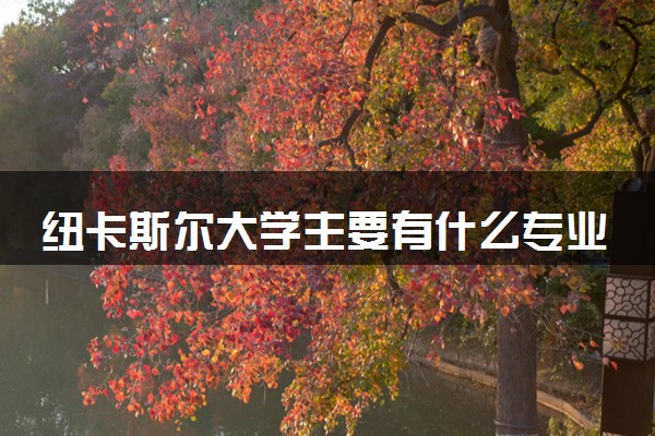 纽卡斯尔大学主要有什么专业 哪些受欢迎