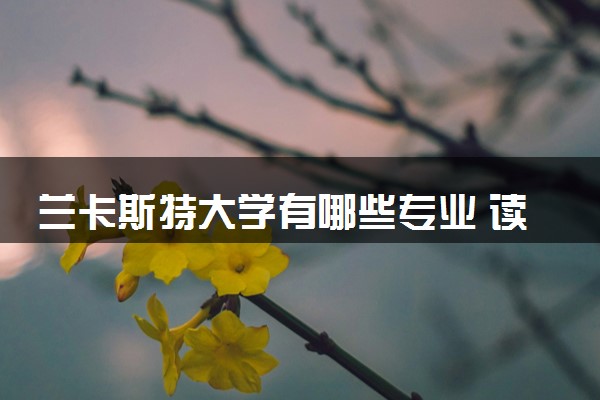 兰卡斯特大学有哪些专业 读完好找工作吗