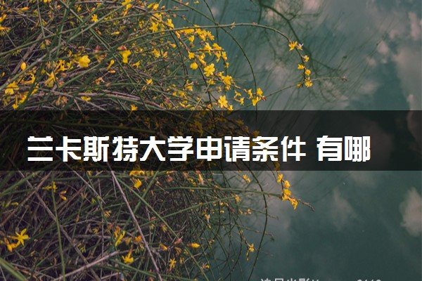 兰卡斯特大学申请条件 有哪些要求