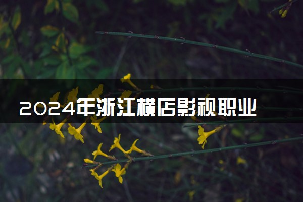 2024年浙江横店影视职业学院录取分数线是多少 各省最低分数线及位次