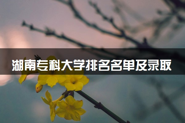 湖南专科大学排名名单及录取分数线（2025年参考）