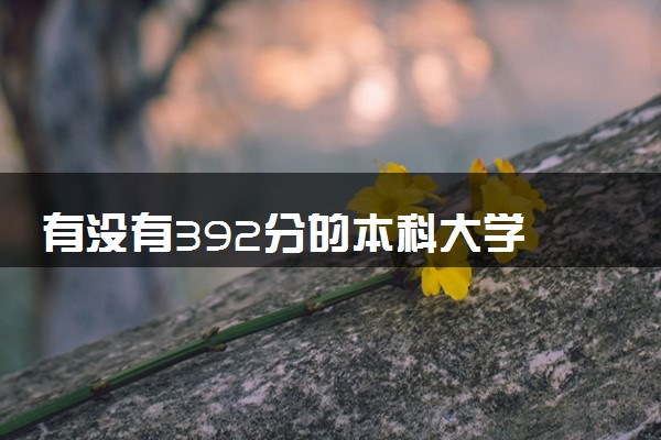 有没有392分的本科大学 哪些适合捡漏报考