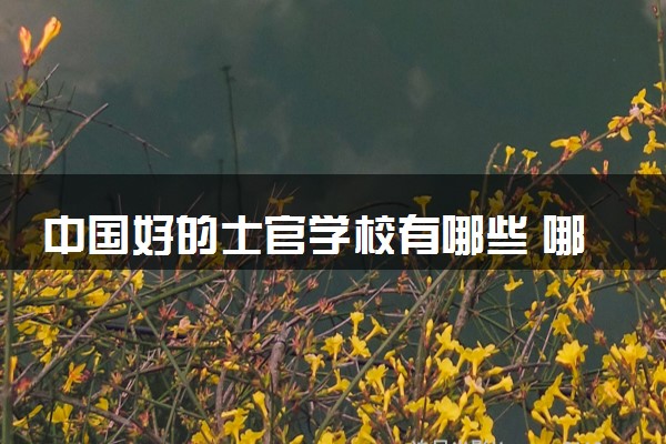 中国好的士官学校有哪些 哪所院校实力强