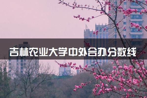 吉林农业大学中外合办分数线 2025多少分能录取