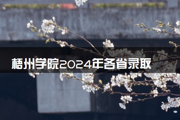 梧州学院2024年各省录取分数线 多少分能考上