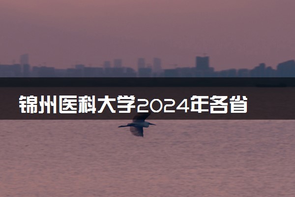 锦州医科大学2024年各省录取分数线 多少分能考上