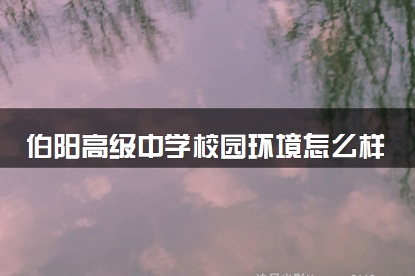 伯阳高级中学校园环境怎么样 值得读吗