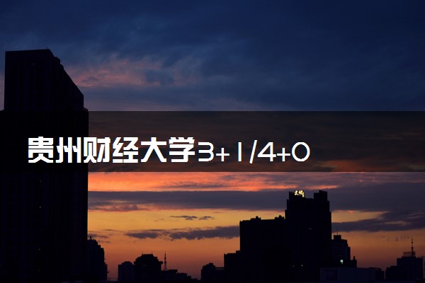 贵州财经大学3+1/4+0国际本科收费标准 学费多少钱