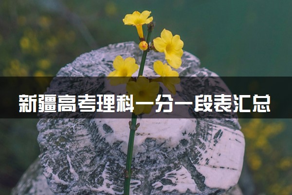 新疆高考理科一分一段表汇总 位次及排名查询（2025年参考）