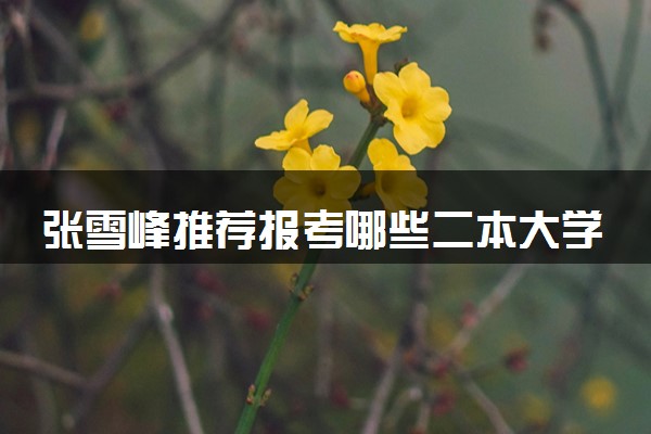 张雪峰推荐报考哪些二本大学 哪所二本院校适合捡漏