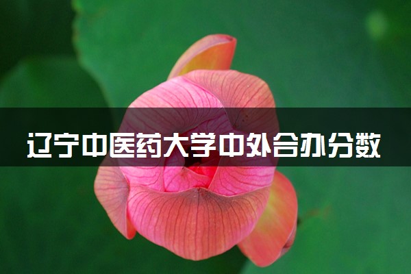 辽宁中医药大学中外合办分数线 2025多少分能录取