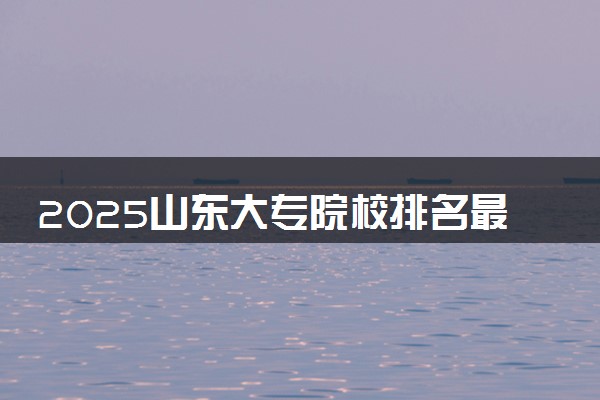 2025山东大专院校排名最新 高职专科大学排行榜【校友会】