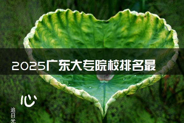 2025广东大专院校排名最新 高职专科大学排行榜【校友会】