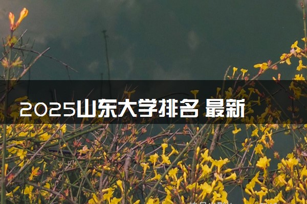 2025山东大学排名 最新本专科院校排行榜【校友会版】
