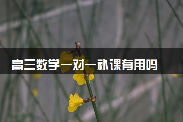 高三数学一对一补课有用吗 哪些学生适合一对一