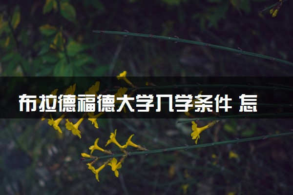 布拉德福德大学入学条件 怎么考进去