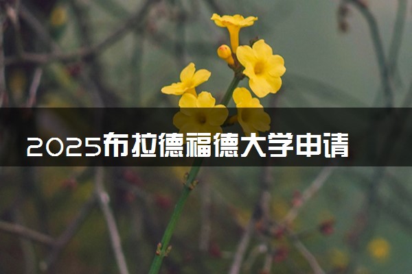 2025布拉德福德大学申请时间 什么时候截止