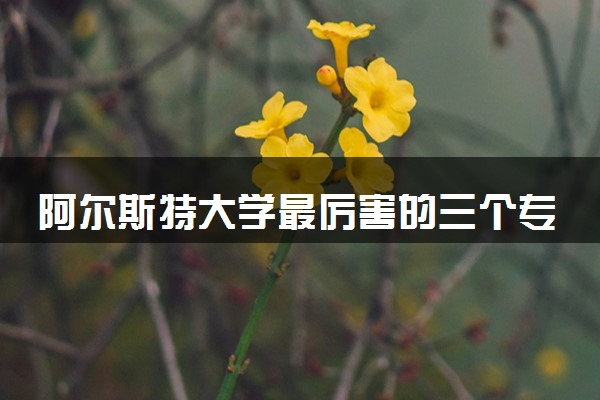 阿尔斯特大学最厉害的三个专业 哪些比较强势