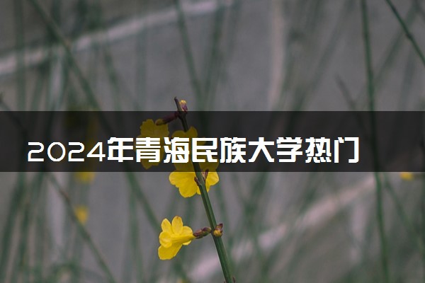 2024年青海民族大学热门专业全国排名 有哪些专业比较好