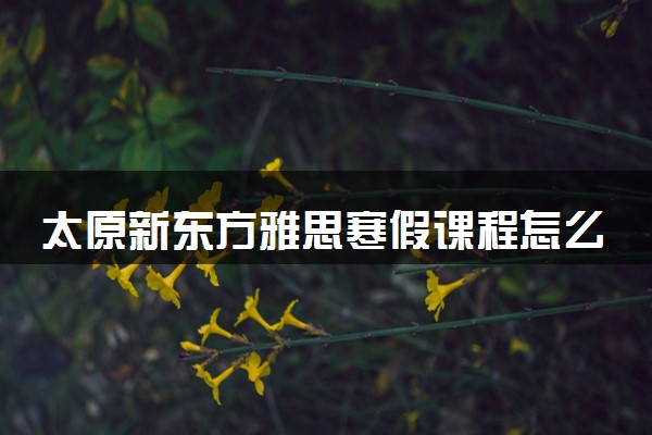 太原新东方雅思寒假课程怎么样