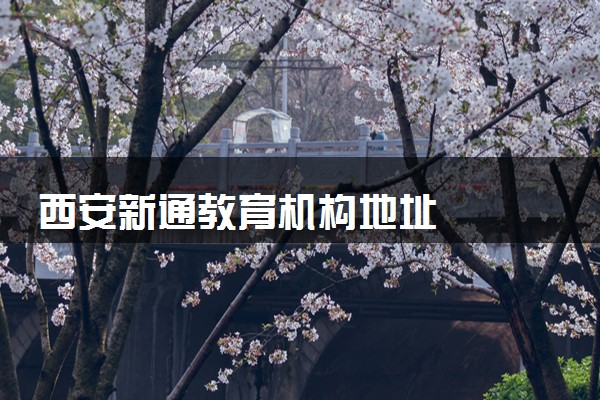 西安新通教育机构地址