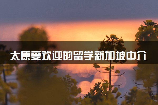 太原受欢迎的留学新加坡中介机构排名一览