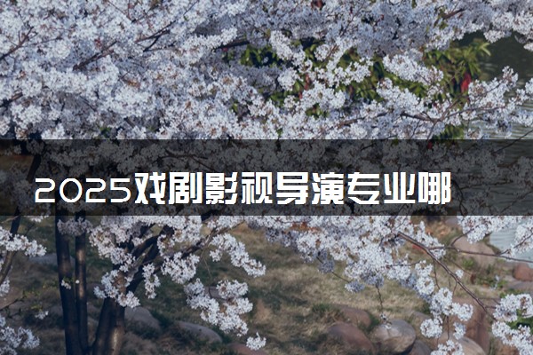 2025戏剧影视导演专业哪个学校最好 全国排名前10强