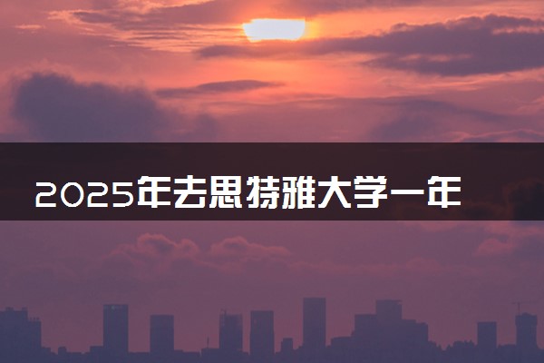 2025年去思特雅大学一年费用详解